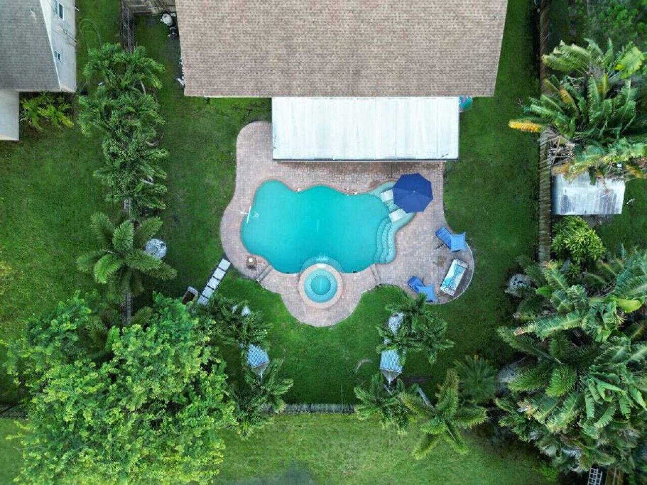 An aerial view of a backyard with a swimming pool, surrounded by lush greenery and palm trees.