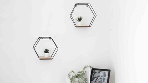 Three hexagonal wall-mounted planters with plants, a framed picture, and a white shelf with a plant.