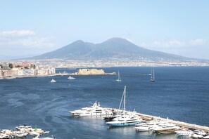 A marina with yachts docked, a coastal cityscape, and a mountain in the background.