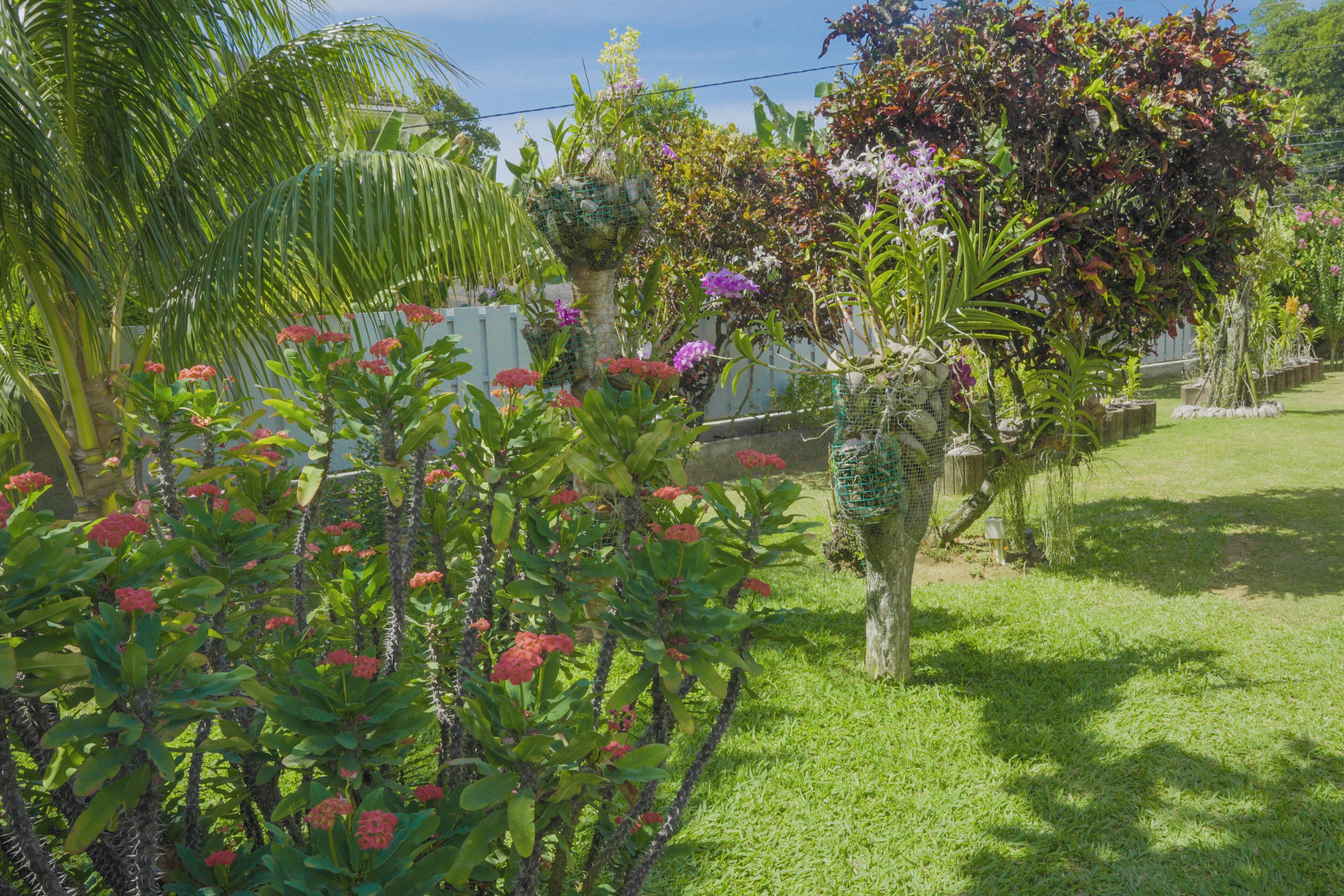 Photo - Villa Elodia by Le Duc Hotel & Villas