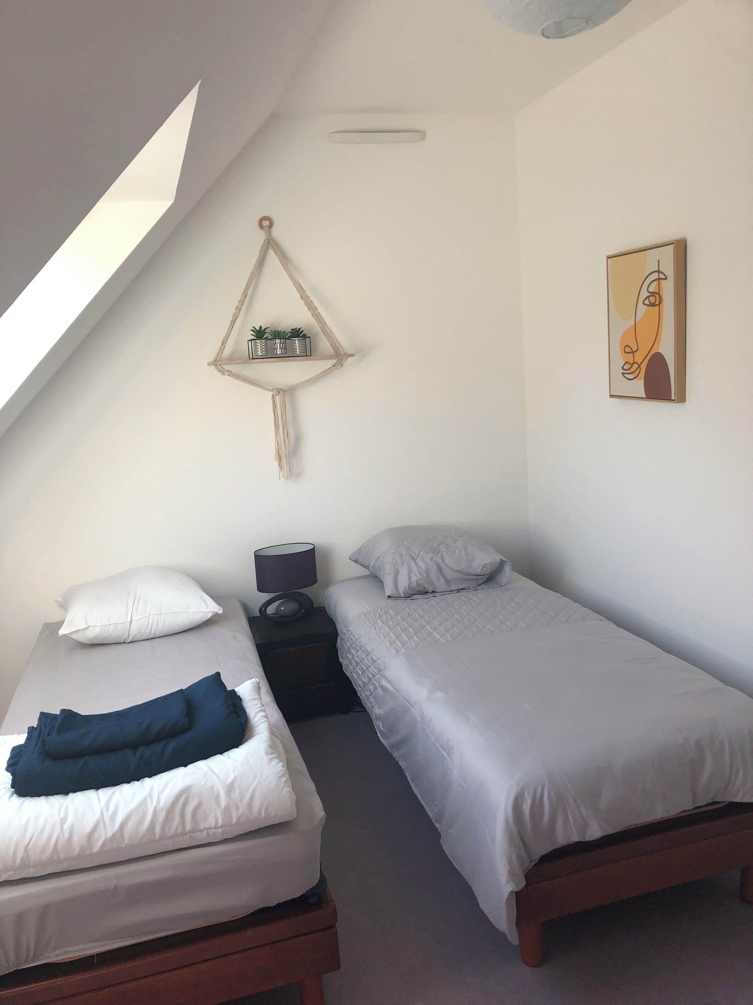 Un dormitorio con dos camas, una pequeña estantería con plantas, un cuadro y un tragaluz.