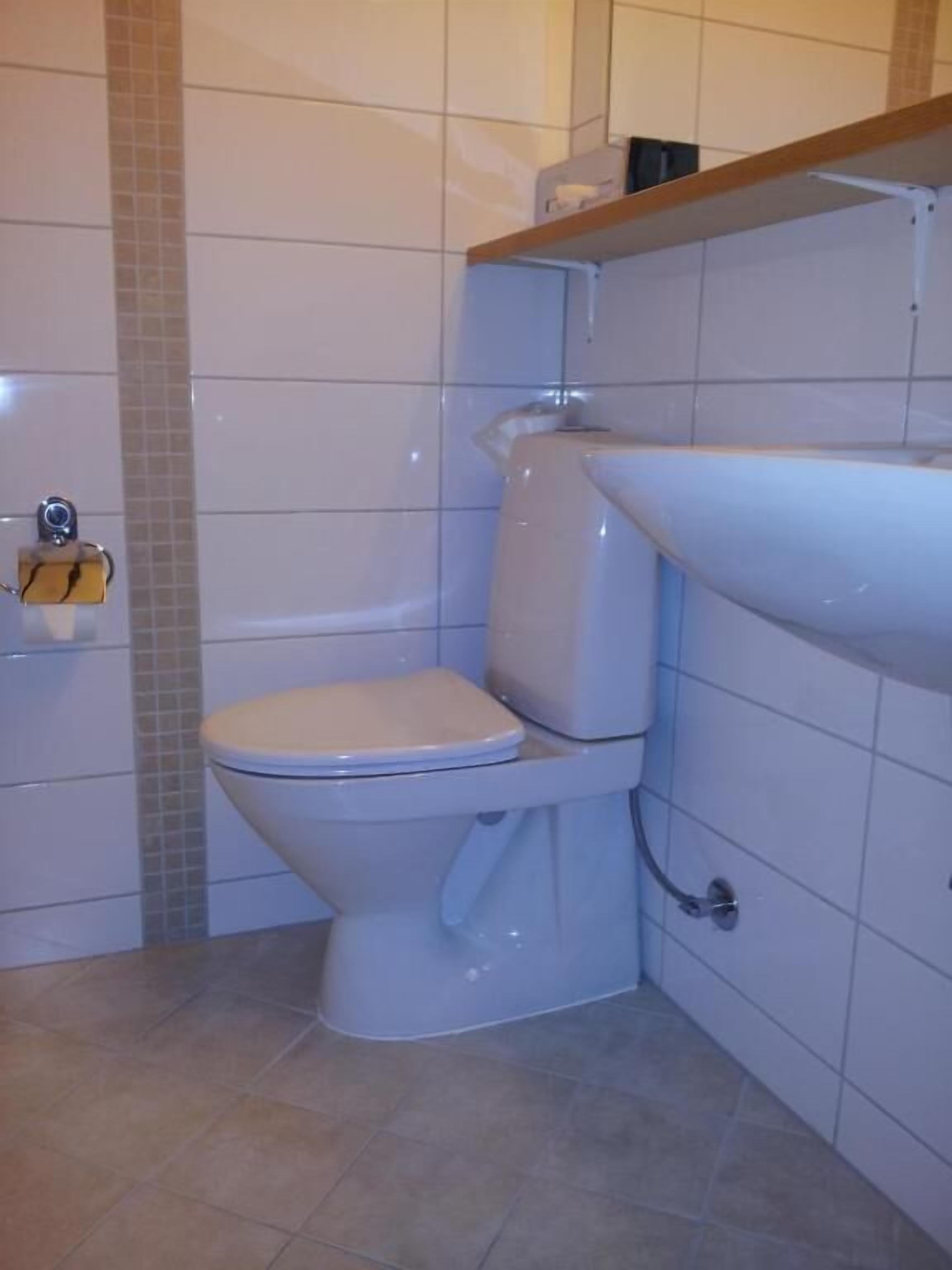 Et lille badeværelse med toilet, vask og bruseområde.