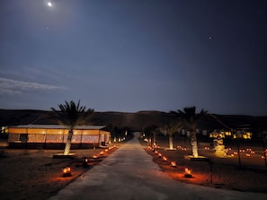 A desert pathway lined with palm trees and lit by ground lamps, leading to a building with a glass facade. - Al Salam Camp (Bidiya)