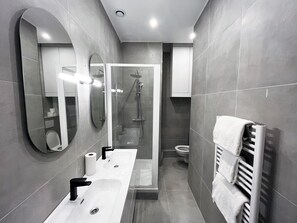 Shower, hair dryer, towels