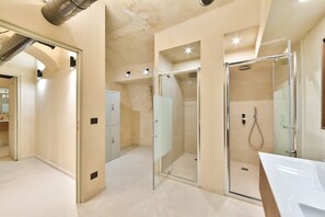 Shower, hair dryer, towels