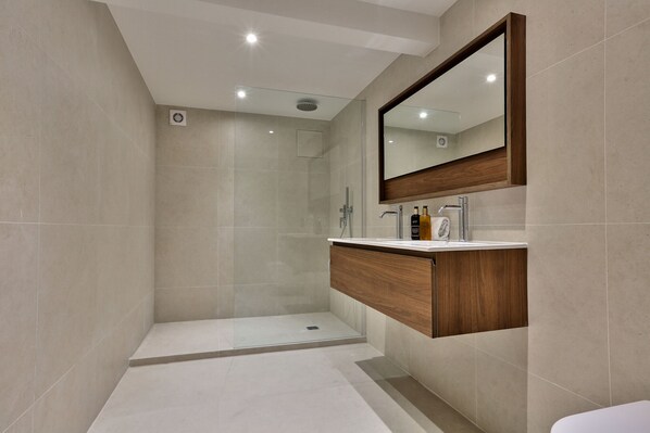 Shower, hair dryer, towels