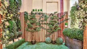 A garden area with various potted plants and a bamboo fence. - 64 - Urban Luxury Flat near Champs-Elysées (París)