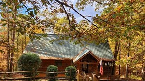 A rustic cabin with a metal roof, surrounded by trees and a wooden fence.