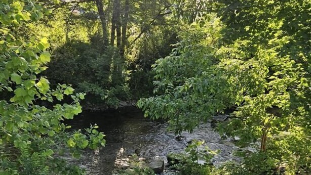 Eksteriør