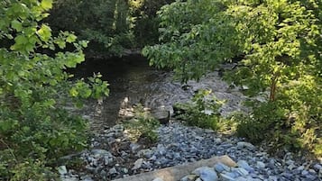 Eksteriør