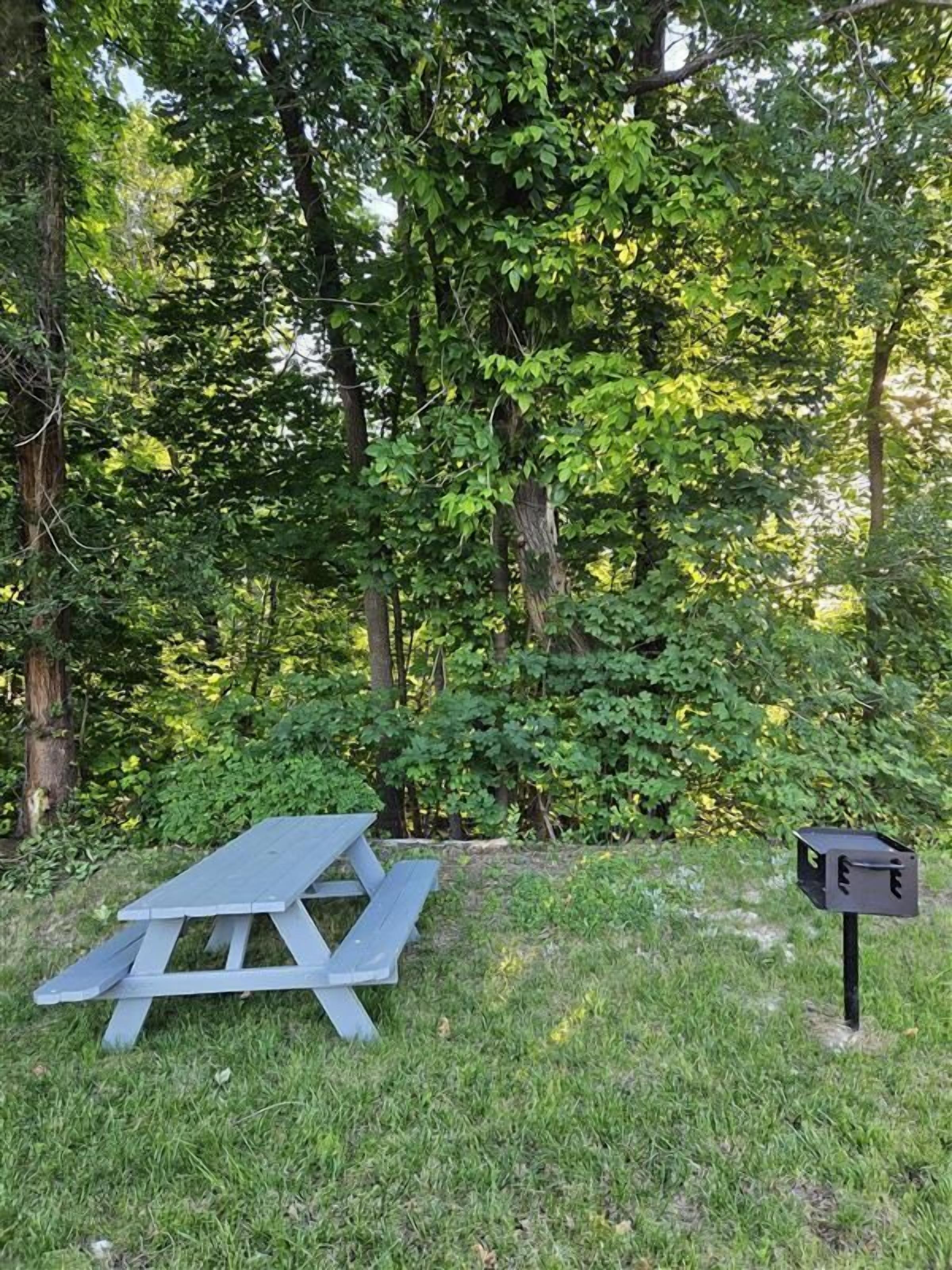 Grill-/piknikområde