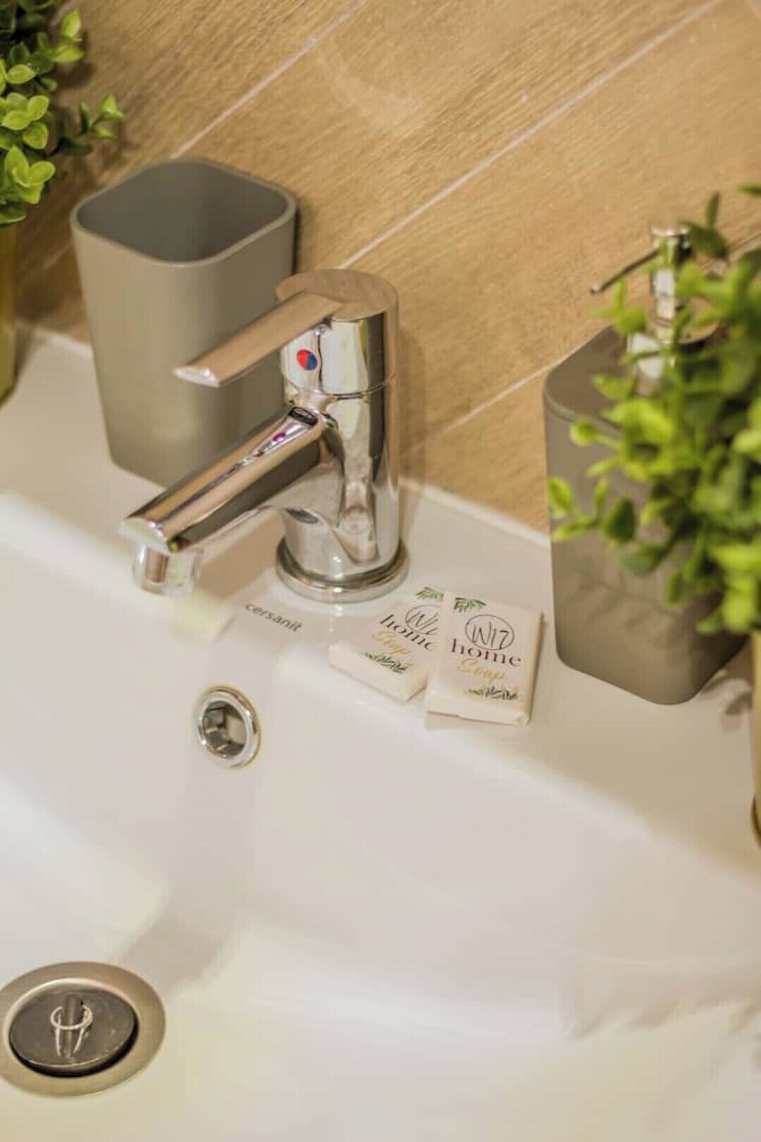 Ein Badezimmerwaschbecken mit einem Chromarmaturen, einer Seifenspender und einem Blumentopf.