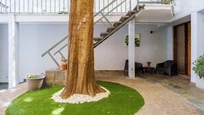 Un albero in un cortile con una scala che conduce a un piano superiore.