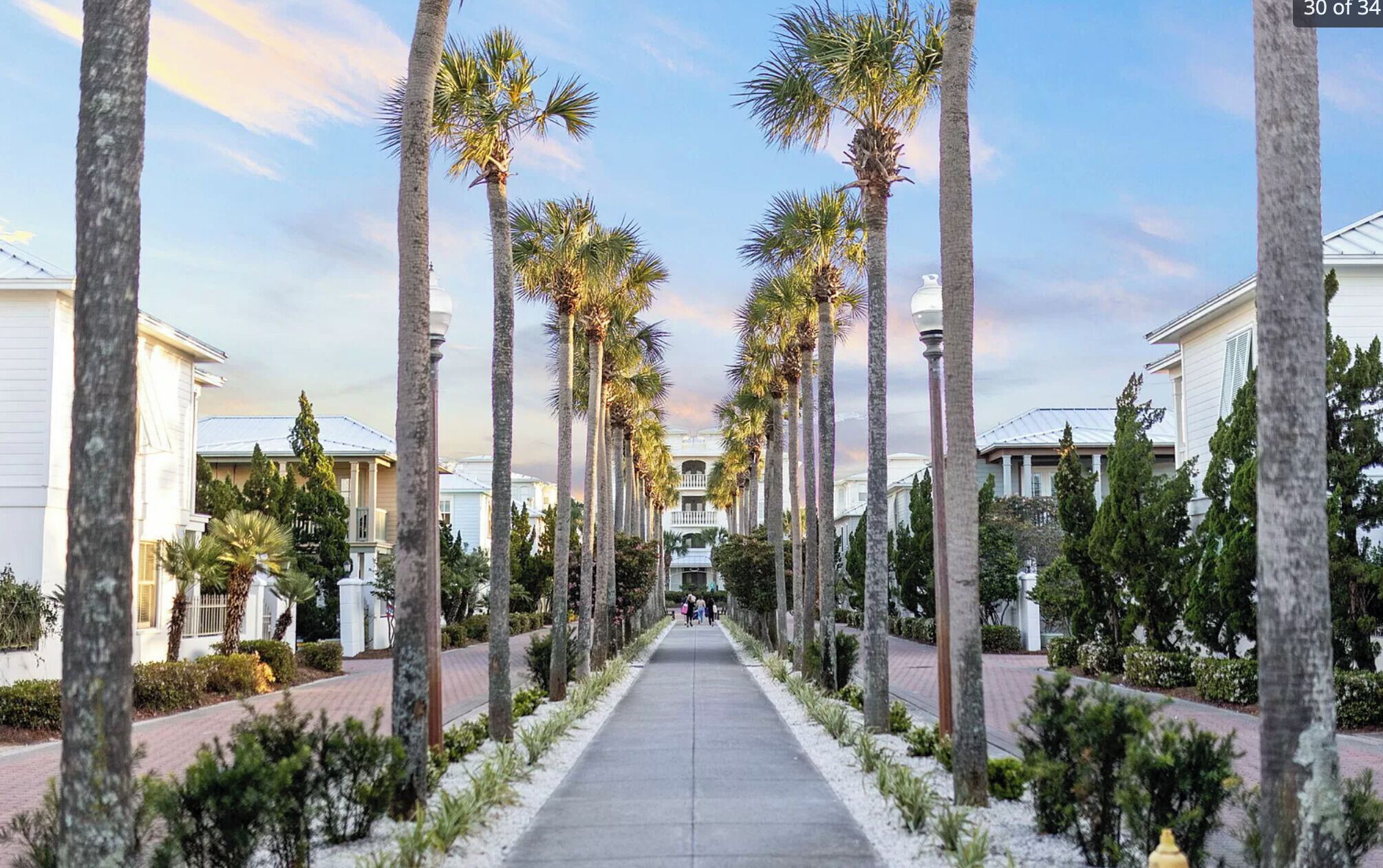 A pathway lined with palm trees leading to a building with a white facade and columns.