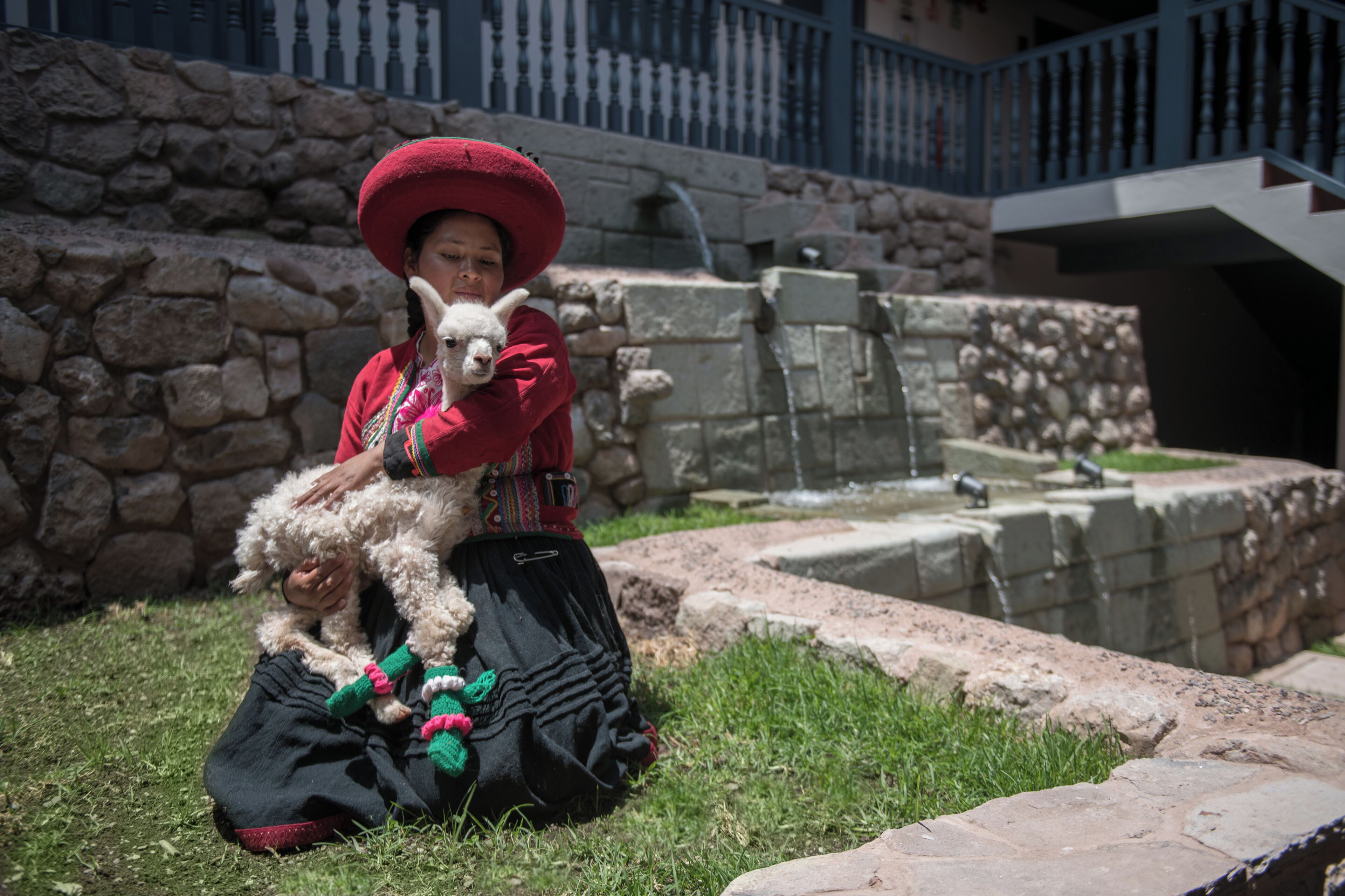 Foto - Motto By Hilton Cusco