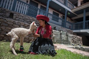 Exterior - Motto by Hilton Cusco (Cusco)