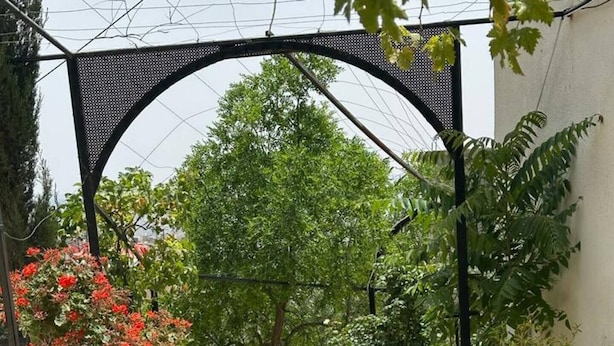 Een smal pad, omzoomd door weelderige begroeiing en een bloeiende rode plant, dat leidt naar een overdekt gebied met een gaasdak.