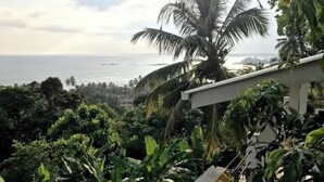 A lush garden with dense foliage and a view of the ocean. - LARA'S PLACE - THE APARTMENT (Unawatuna)