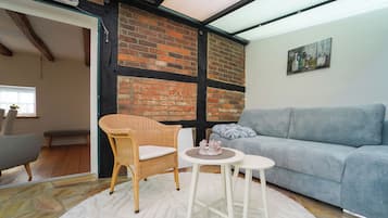 TV connectée, cheminée, lecteur de DVD, livres