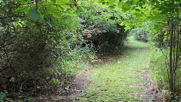 A narrow, leaf-covered path in a wooded area.