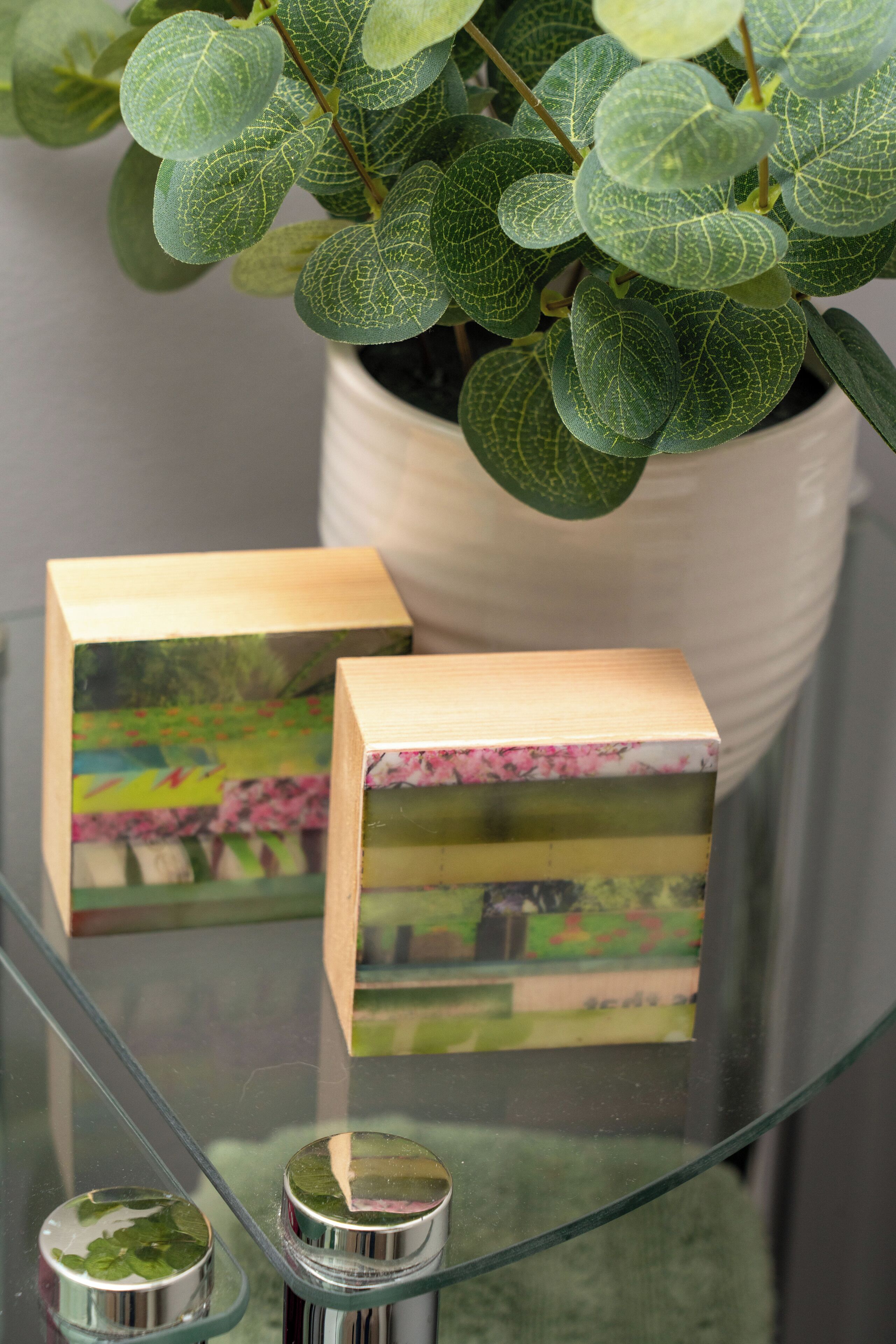 A potted plant with variegated leaves, a glass table with a reflective surface, and a wooden box with a floral design.
