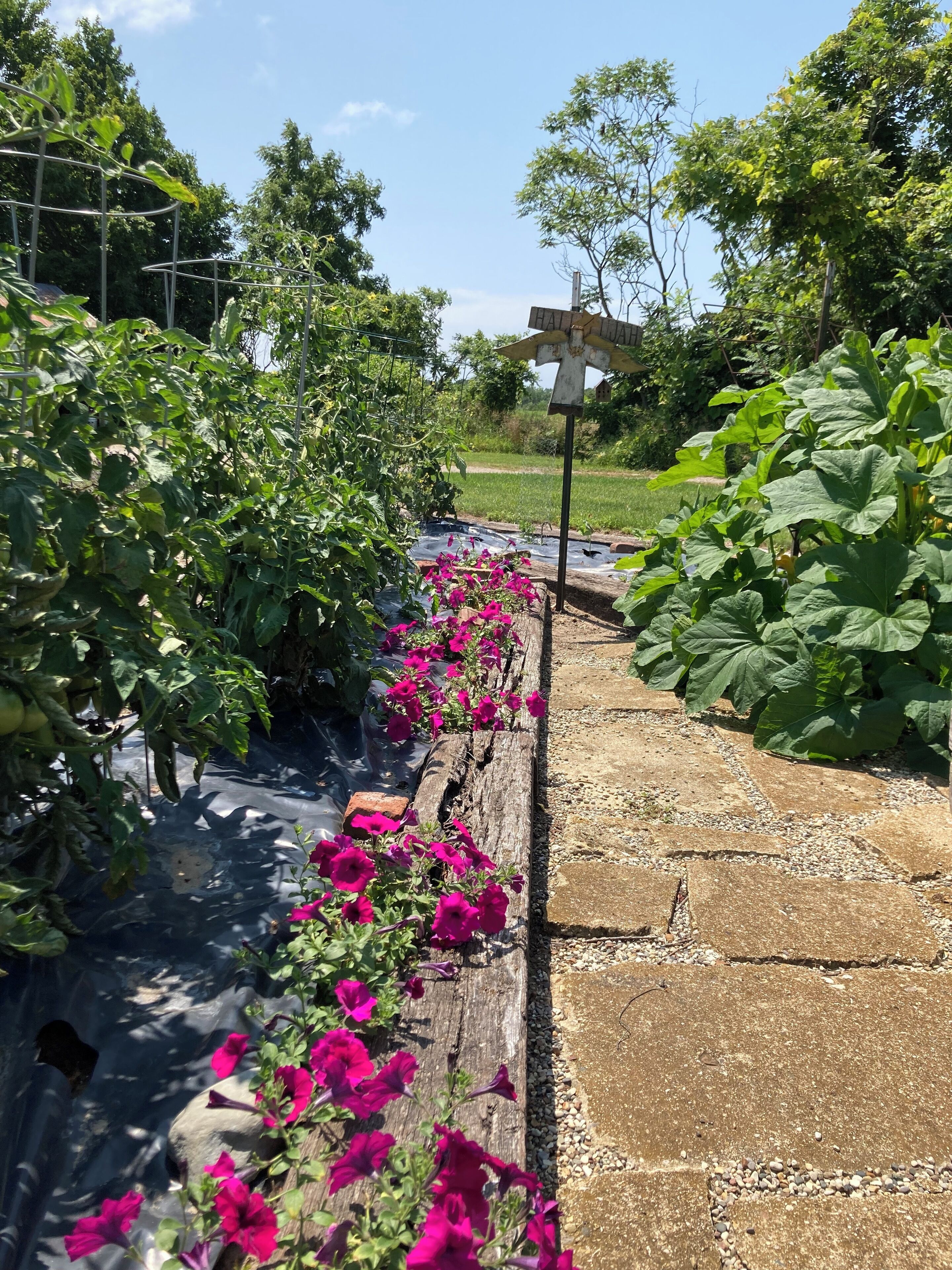 Terrasse/patio
