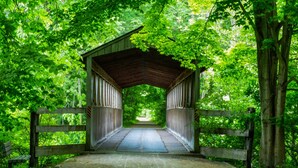Un pont en bois, abrité, au cœur d’une forêt verdoyante.