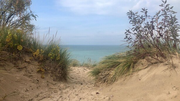 Une plage de sable avec des dunes et une végétation clairsemée.