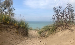 A sandy beach with dunes and sparse vegetation.