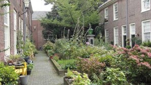En smal murstensgyde med en belagt sti, omgivet af frodigt grønt og blomstrende planter.