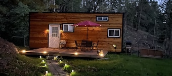 Tiny House nestled into the Forest on 160 acre Playground.