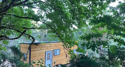 Tiny House nestled into the Forest on 160 acre Playground.