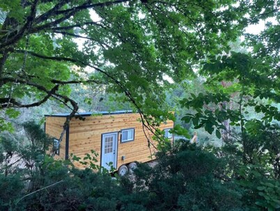 Tiny House nestled into the Forest on 160 acre Playground. 