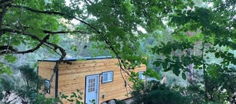 Tiny House nestled into the Forest on 160 acre Playground.