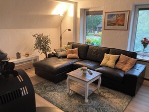 Smart TV, fireplace, books