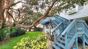 Beach house in the Trees