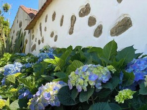 DĂ©tail de lâextĂ©rieur