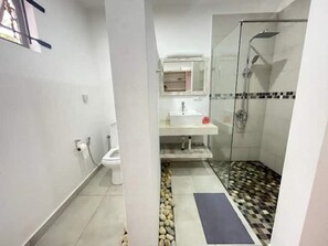 Shower, towels, toilet paper