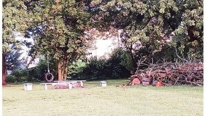 A grassy outdoor area with a tree, a tire swing, and a bench. - Camp Lilybug-Calm Oasis Pet Friendly! (Terre Haute)