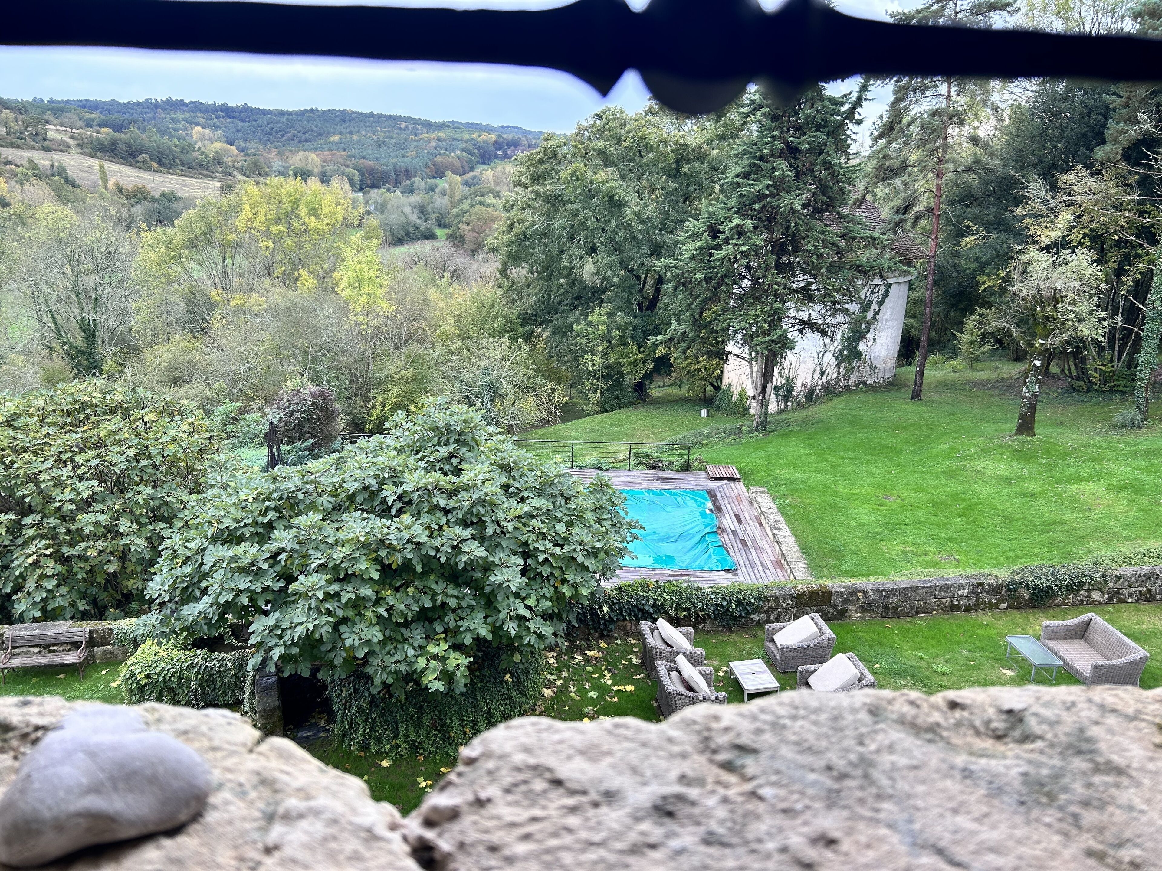 Vista de un patio trasero con piscina, rodeado de abundante vegetación y árboles.