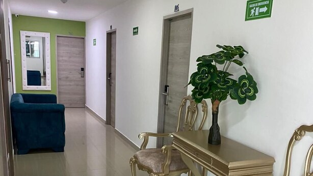 Un pasillo con mostrador de recepción, un sofá azul y una planta.
