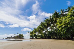 Espreguiçadeiras, toalhas de praia 