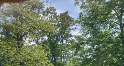 The Barn, Entire home hosted by David
5 guests 3 bedrooms 3 bed, 2 bath