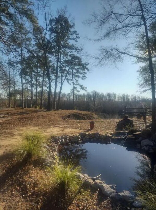 A natural outdoor setting with a small pond, surrounded by trees and a dirt path. - The Barn, Entire home hosted by David
5 guests 3 bedrooms 3 bed, 2 bath (Georgetown)