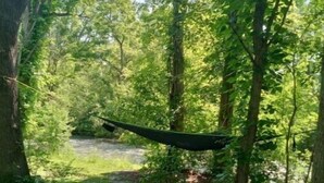 A hammock suspended between trees in a forested area. - Creeks Edge offers  full access to charming 8 acres along the river.
 (Canandaigua)