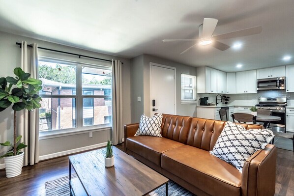 TV - 1 BR Apt Walks to Menil Collection with Free Parking (Houston)