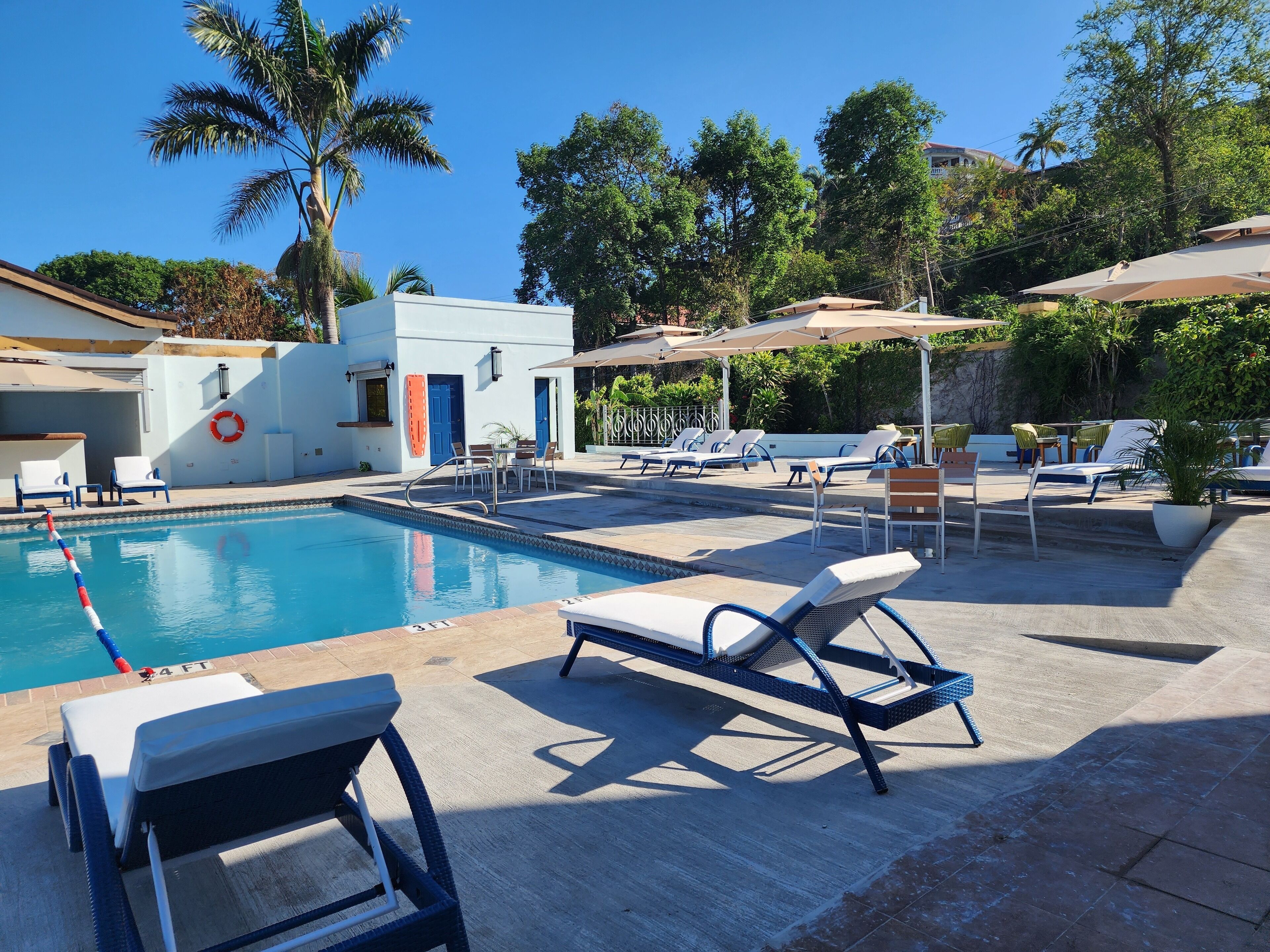 A swimming pool with lounge chairs and umbrellas, surrounded by palm trees and a building with a blue door.