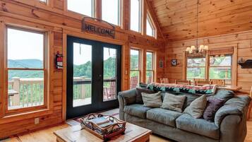 TV, lareira, videogames