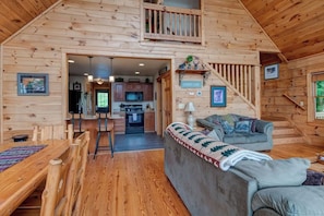 TV, fireplace, video games - Wildlife Ridge-Views, Gameroom, Hot Tub 4300' Elev (Mars Hill)