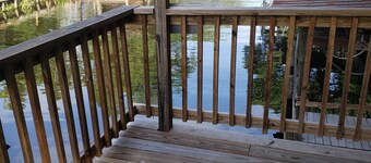 All about the water #2 of 3-Pet-friendly!